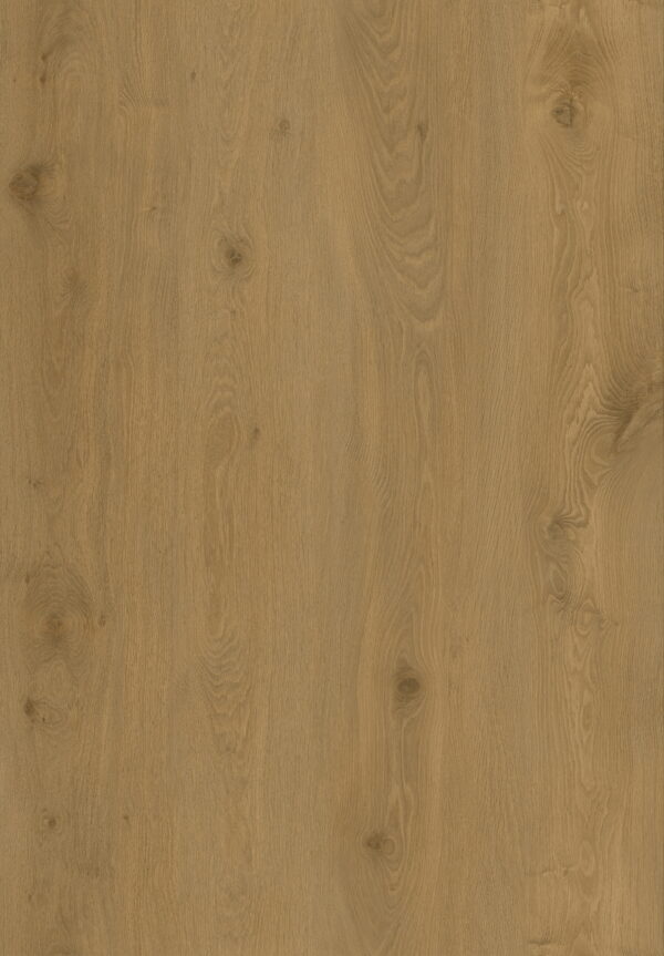 English Oak - SPC Click