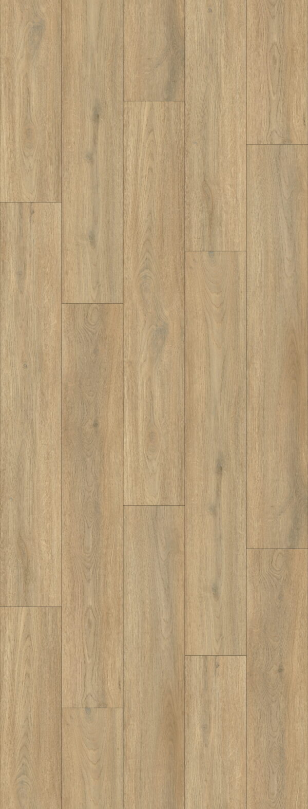 Harbour Oak - SPC Click